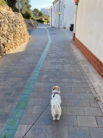 Altea Beachgate - Acceso Privado A La Playa Экстерьер фото